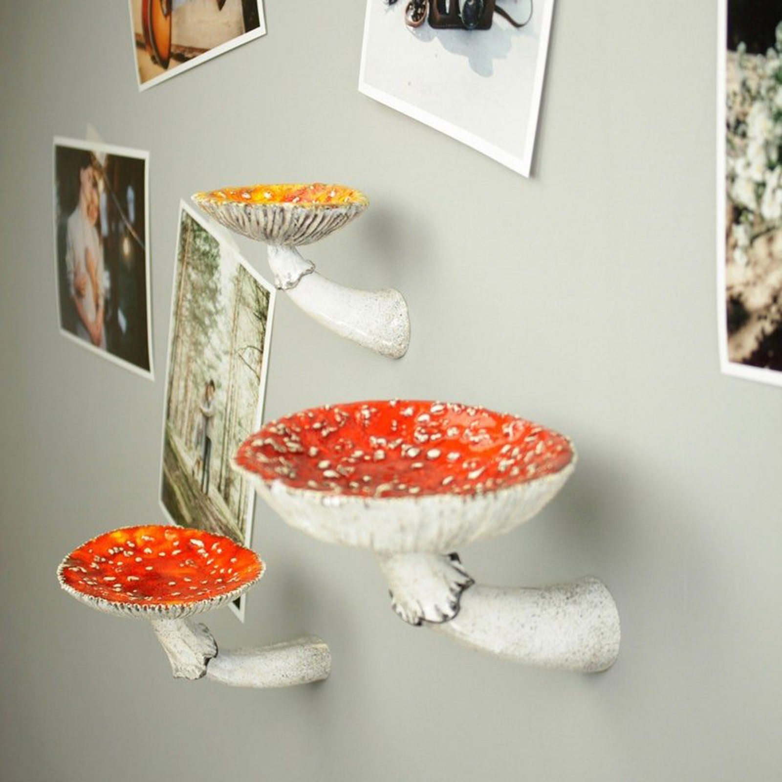 Rak dinding gantung jamur Resi - Floating Shelves ulasan dan harga