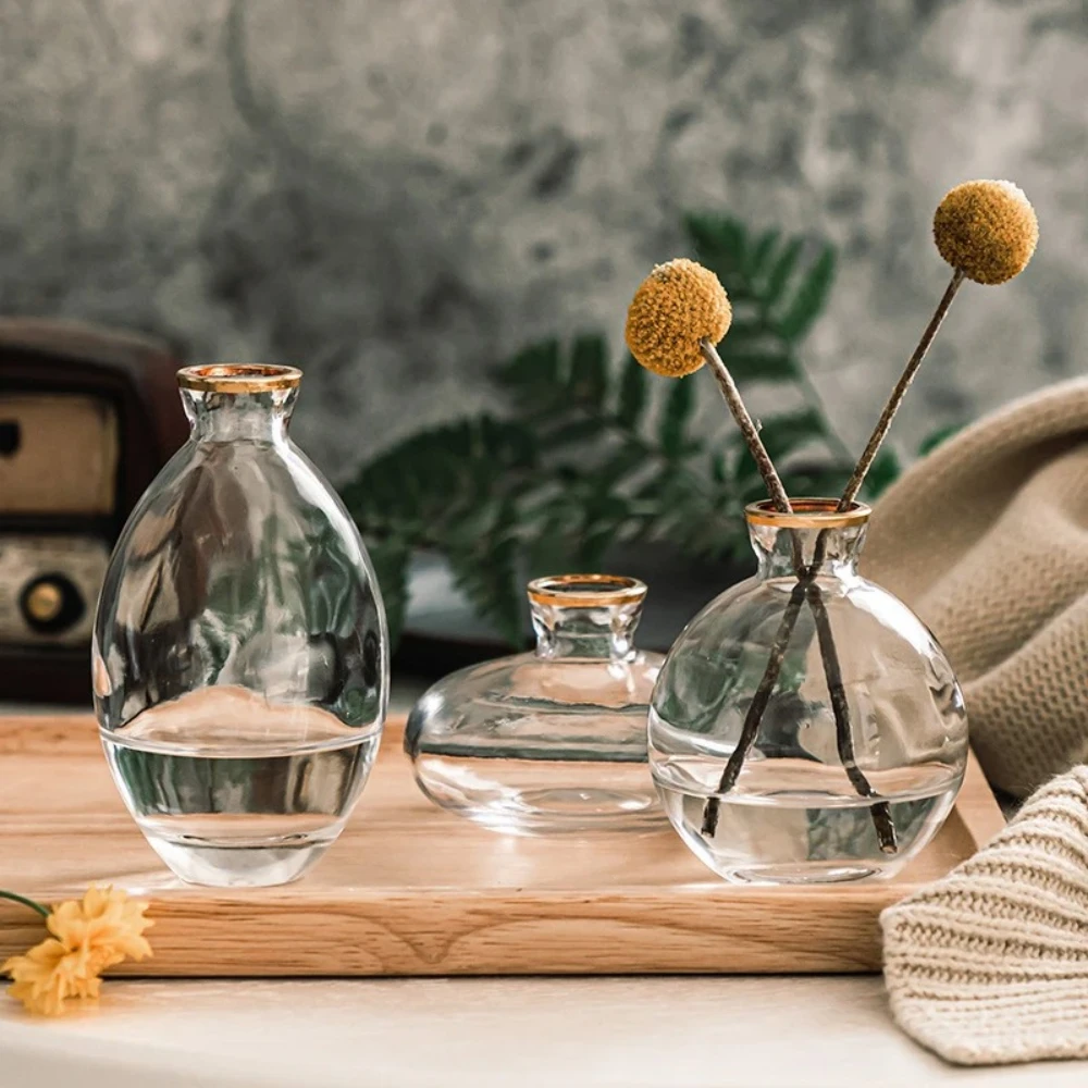 Vas Kaca Transparan Nordik Vas - Glass Vase Nordic ulasan dan harga