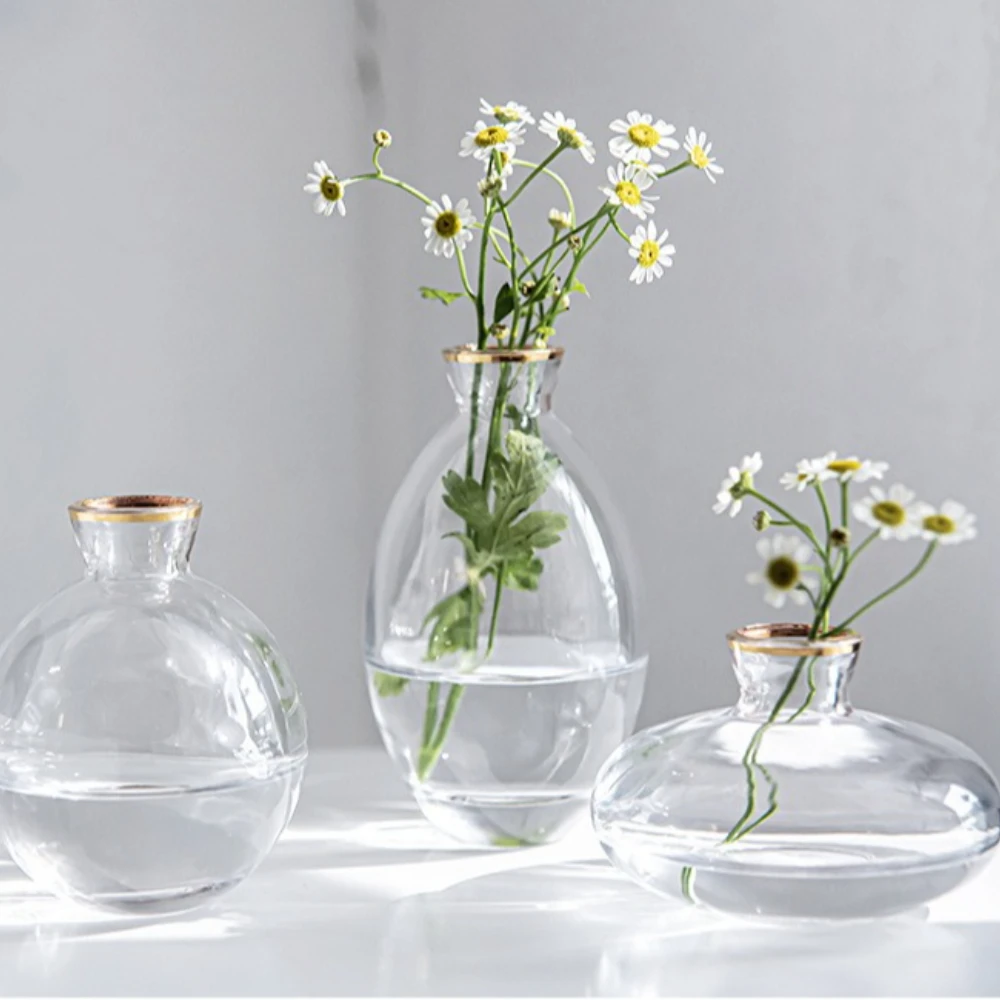 Vas Kaca Transparan Nordik Vas - Glass Vase Nordic ulasan dan harga
