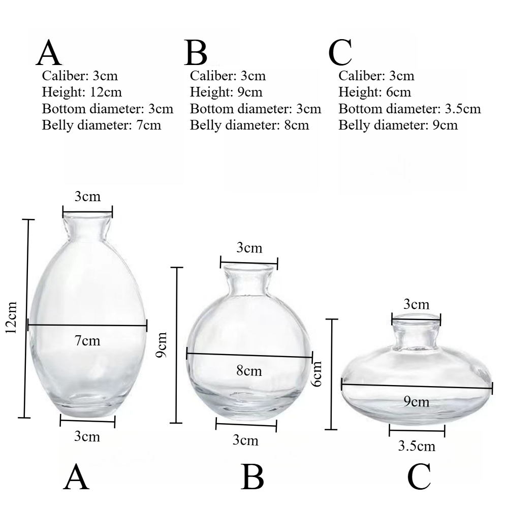 Vas Kaca Transparan Nordik Vas - Glass Vase Nordic ulasan dan harga