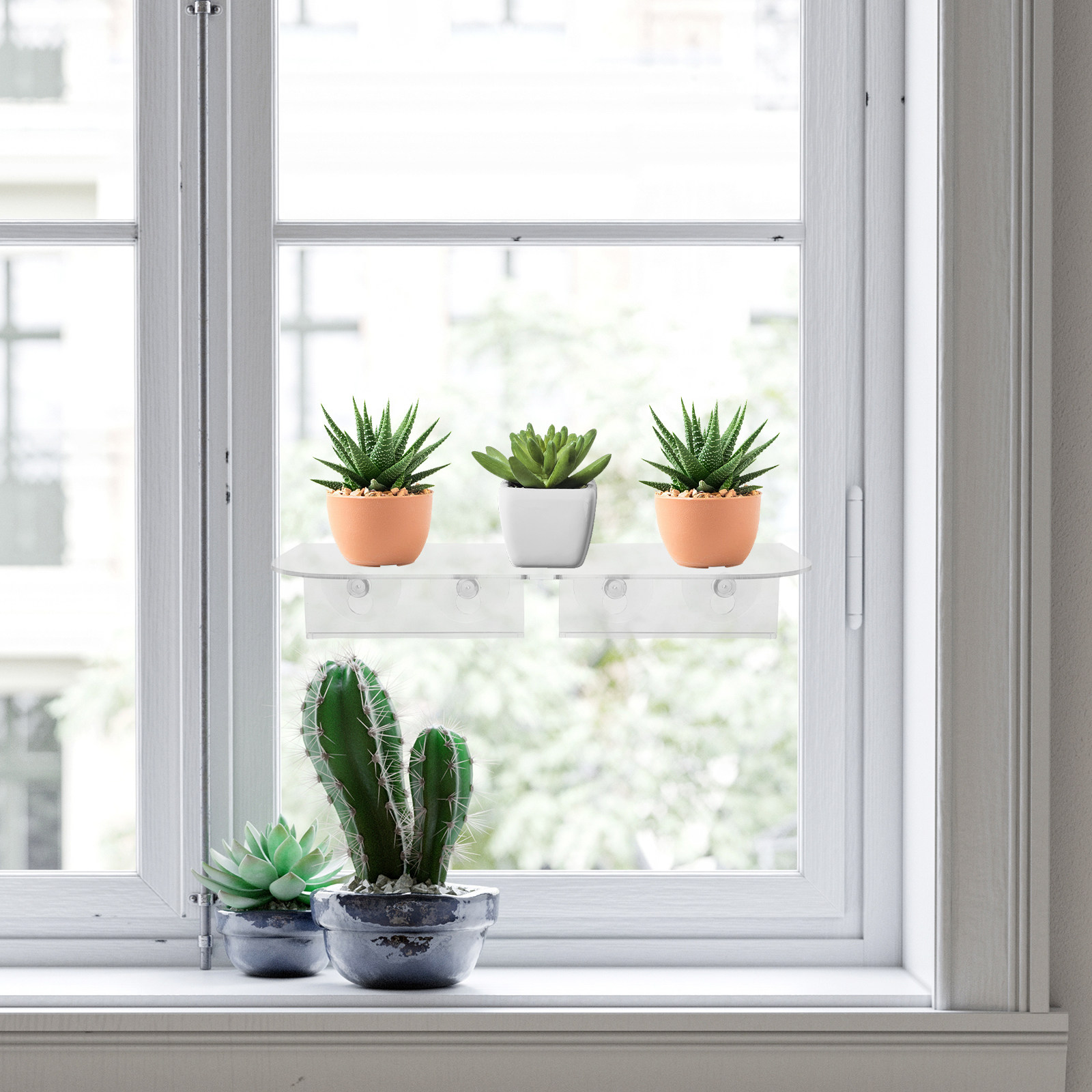 Rak Tanaman Jendela dengan Suc - Floating Shelves ulasan dan harga